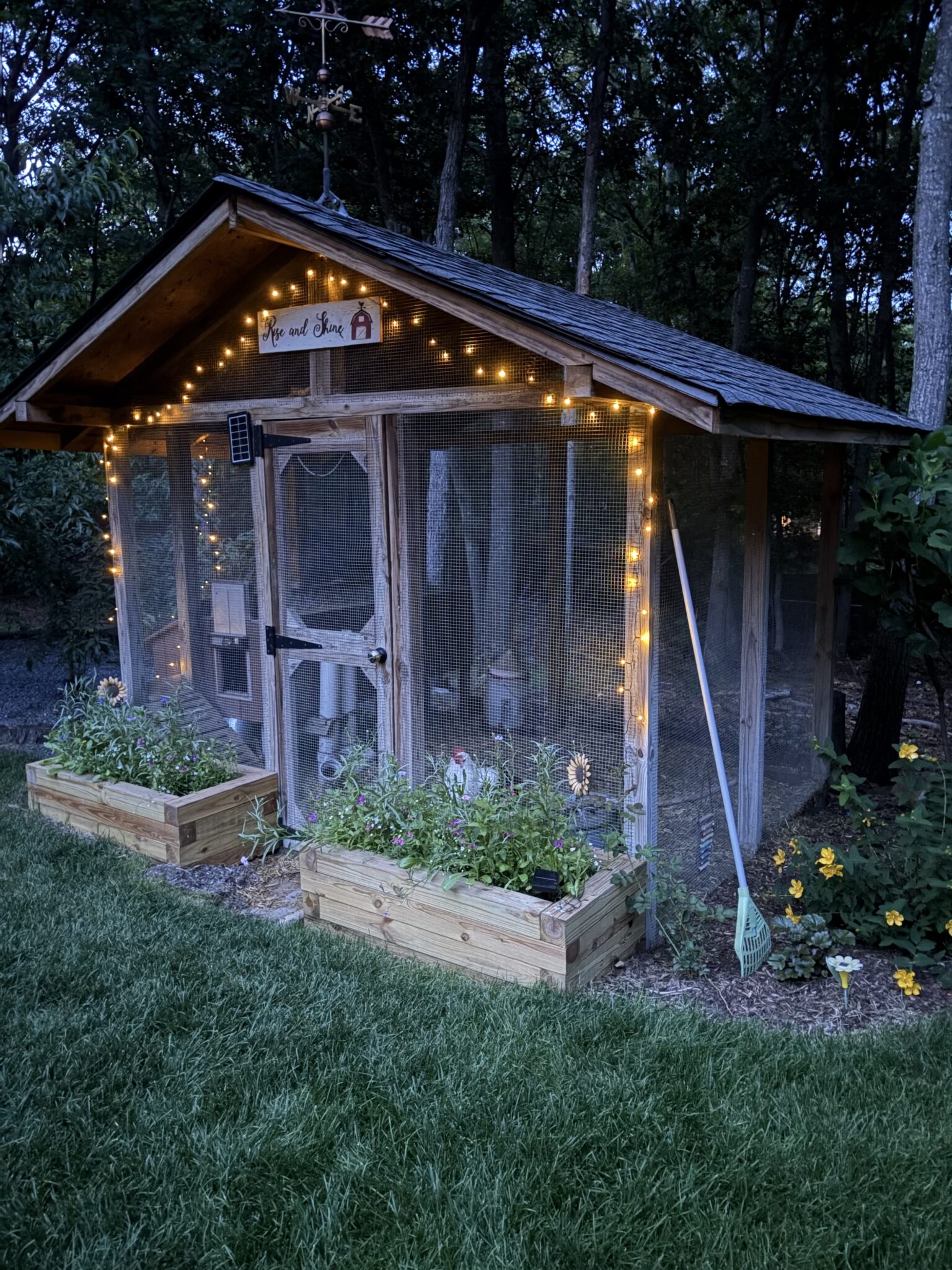 Solar lights draped around chicken coop at night.