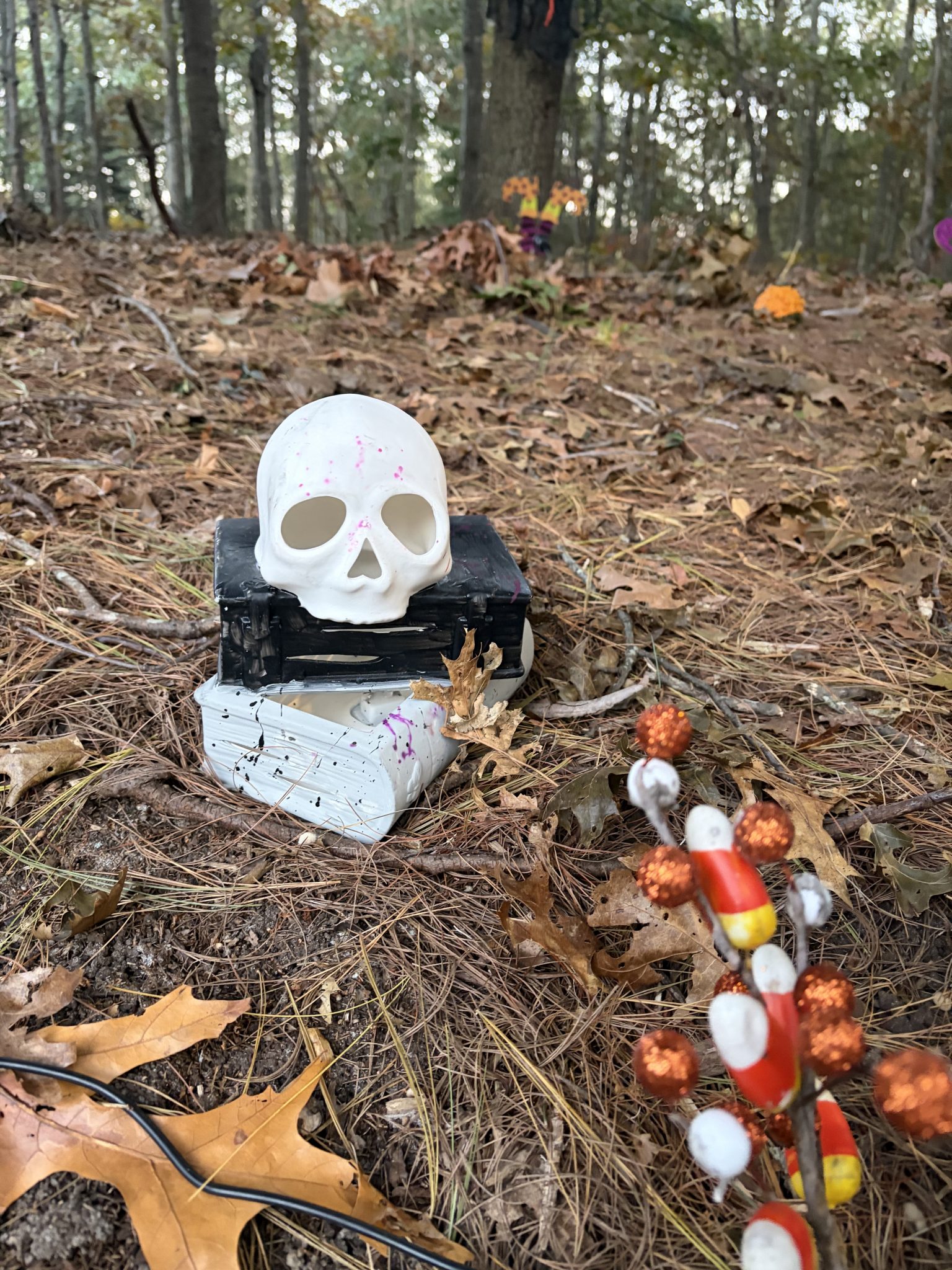 A white ceramic skull sitting on top of a stack of books alongside a colorful pile of mini decorative pumpkins a long a wooded dirt path.
